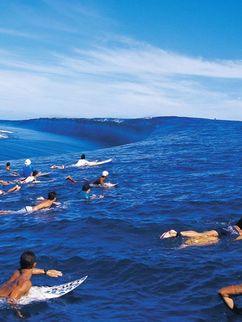 Surfende, auf ihren Brettern liegend, schwimmen auf einer großen Welle.