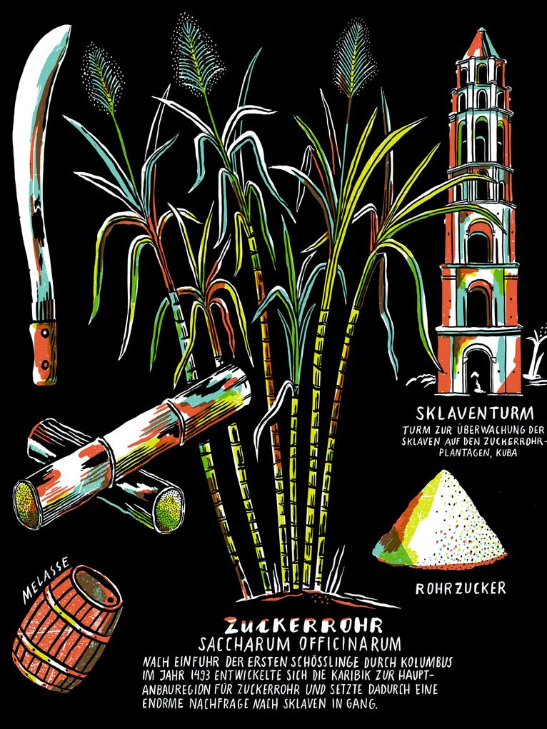 Illustration zur Zuckergewinnung aus Zuckerrohr. Sie zeigt eine Zuckerrohrpflanze, ein Messer, geschnittenes Zuckerrohr, eine Fass mit Melasse, einen Berg Zucker und einen Sklaventurm.