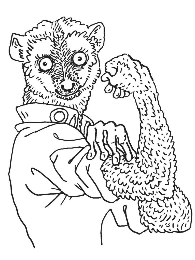 Illustration eines Lemuren, der seinen Hemdsärmel hochkrempelt und seien Bizeps zeigt.
