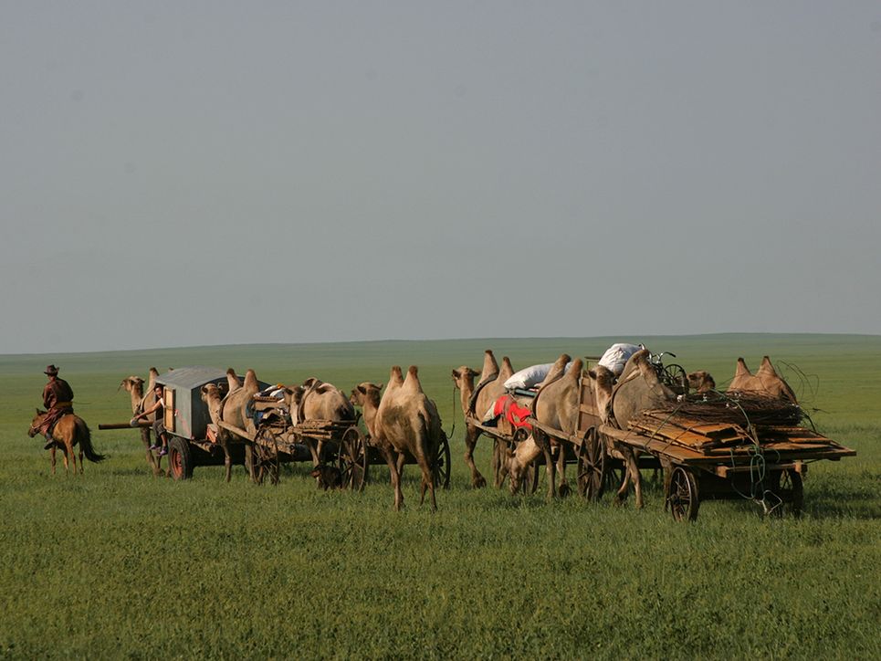 Karawane mit Kamelen, die bepackte Holzkarren ziehen.