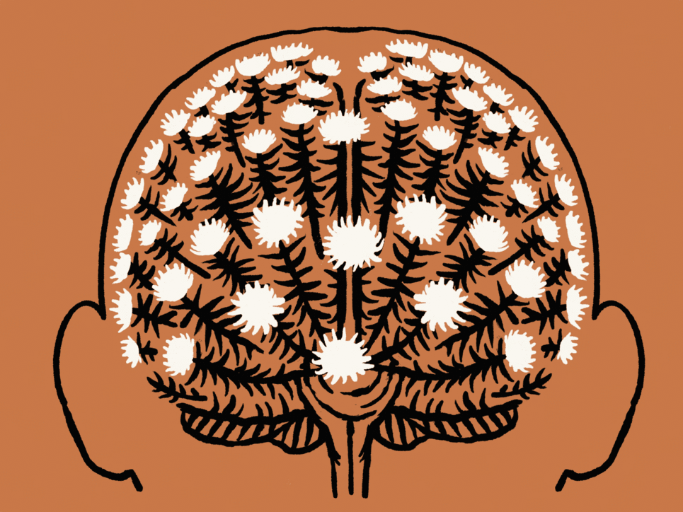 Illustration eines Kopfes, dessen Gehirn aus einer Pflanze besteht.