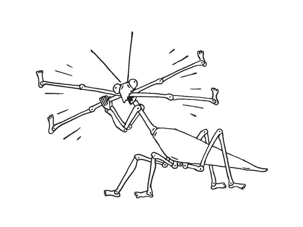 Illustration einer Gottesanbeterin, die zwei überkreuzte Beine aus Knochen im Maul trägt.