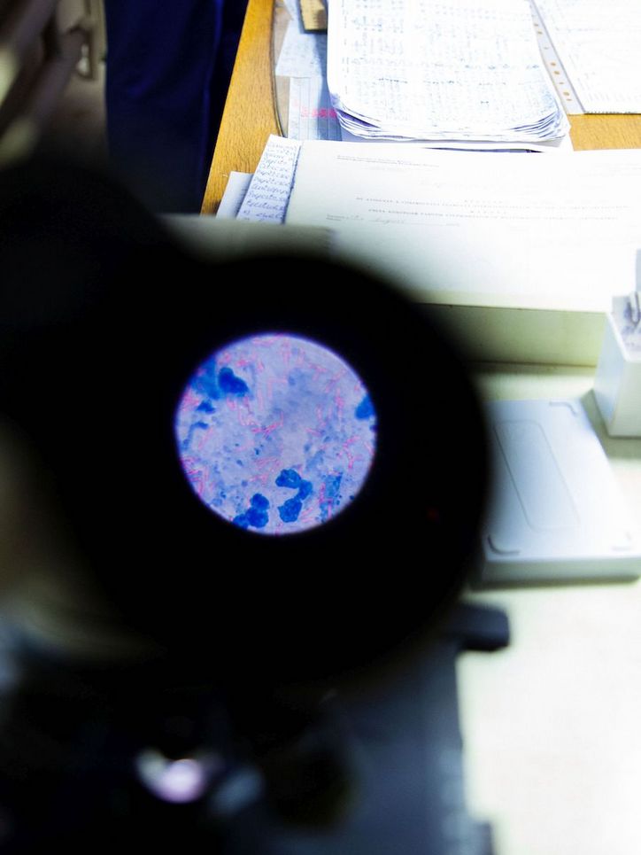 Aufnahme dessen, was er im Mikroskop sieht: Ein Muster aus bläulichen und rötlichen Formen.