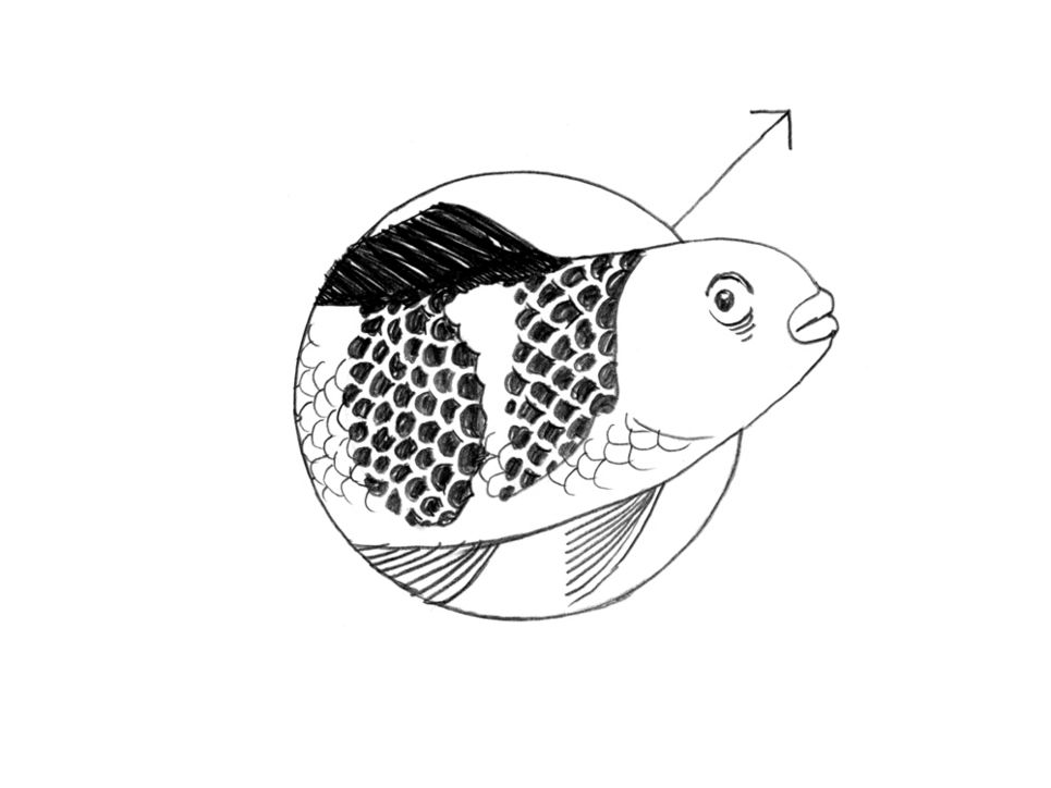 Illustration. Der Kopf eines Fisches ragt aus dem Kreis des männlichen Gender-Symbols heraus.