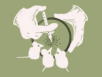 Drei Mäuse schauen auf eine Petrischale mit winzigen Partikeln und einer Pipette.