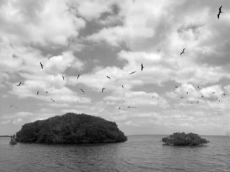 Über zwei Inseln vor der kolumbianischen Küste kreisen Möwen.