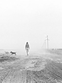Staubige, Flache Landschaft, Strommasten am Rand des breiten Weges. Eine Person mit langen Haaren und drei Hunde. Schwarzweiß-Fotografie.