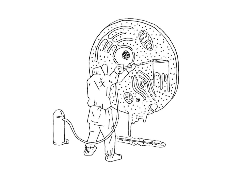 Illustration einer großen Zelle, die von einer Person in Schutzkleidung mit einem großen Pinsel bestrichen wird.