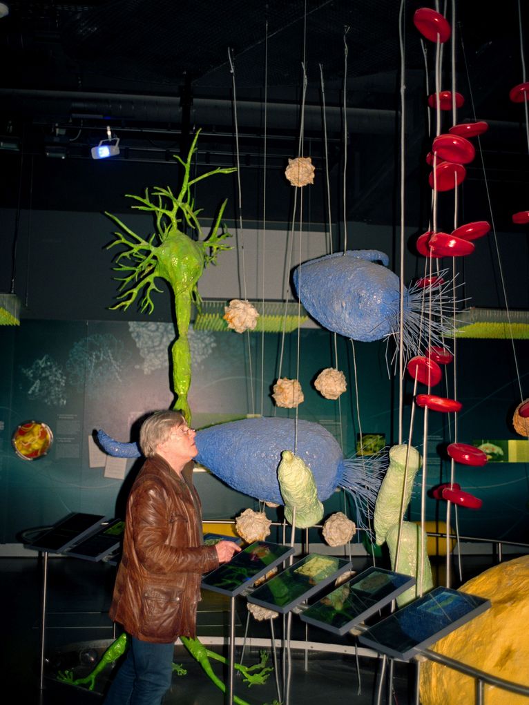 Manfred Zapata in einem Raum mit Unterwasser-Installation, in dem Fische, Pflanzen und weitere Meeresobjekte von de Decke hängen.