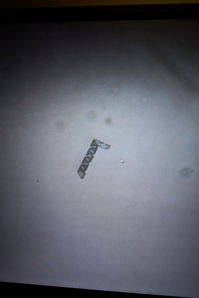 DNA unter dem Mikroskop.