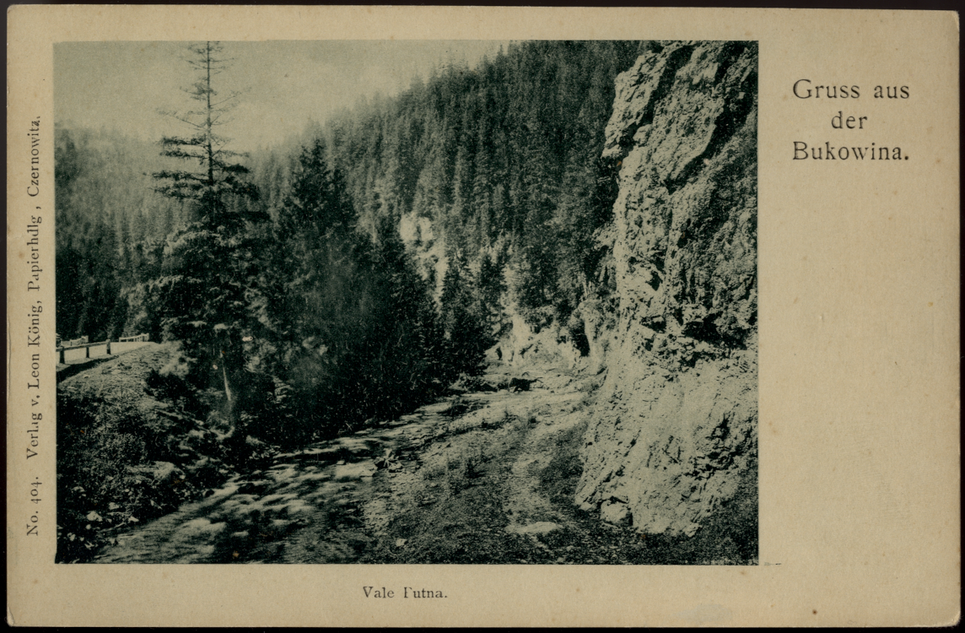 Postkarte mit dem Aufdruck »Gruss aus der Bukowina«, die das bewaldete, felsige Tal Vale Futna zeigt.