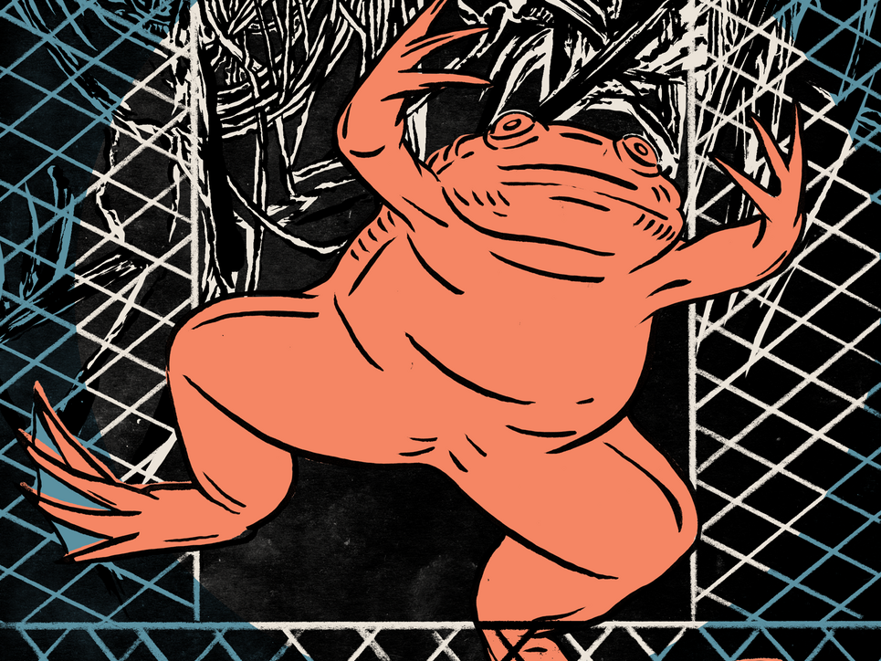 Illustration zeigt Frosch, der aus einem Käfig ausbricht.