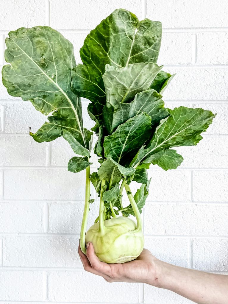 Eine Hand hält einen Kohlrabi vor einer weißen Ziegelwand