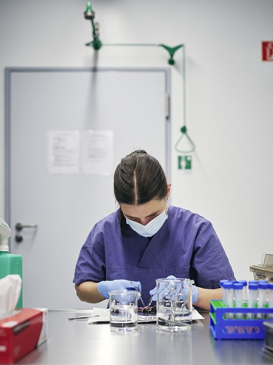 Im Labor hantiert eine Wissenschaftlerin mit Metallzangen und untersucht etwas Rötliches.