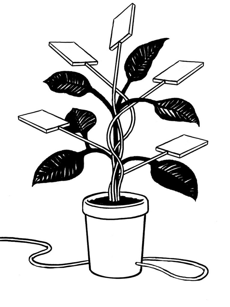 Eine Topfpflanze, um deren Stengel sich Kabel aus der Erde winden, die mit rechteckigen Modulen verbunden sind, als wären es technisierte Blätter der Pflanze. Auch der Topf ist mit einem Kabel verbunden.  