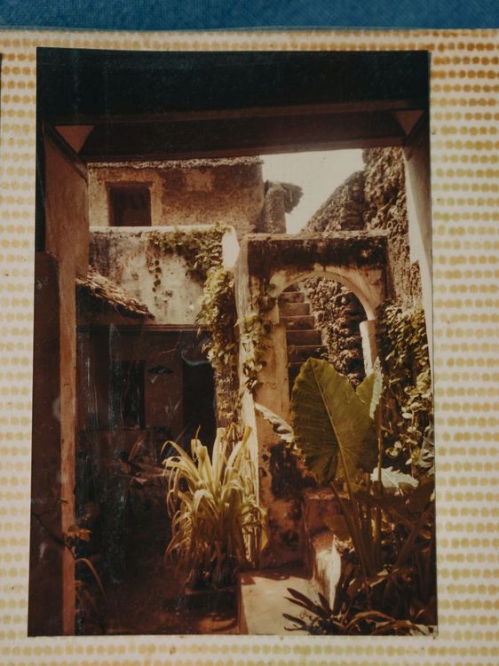 altes Foto von einem verwachsenen Hauseingang mit einem Bogen und einer Treppe. 