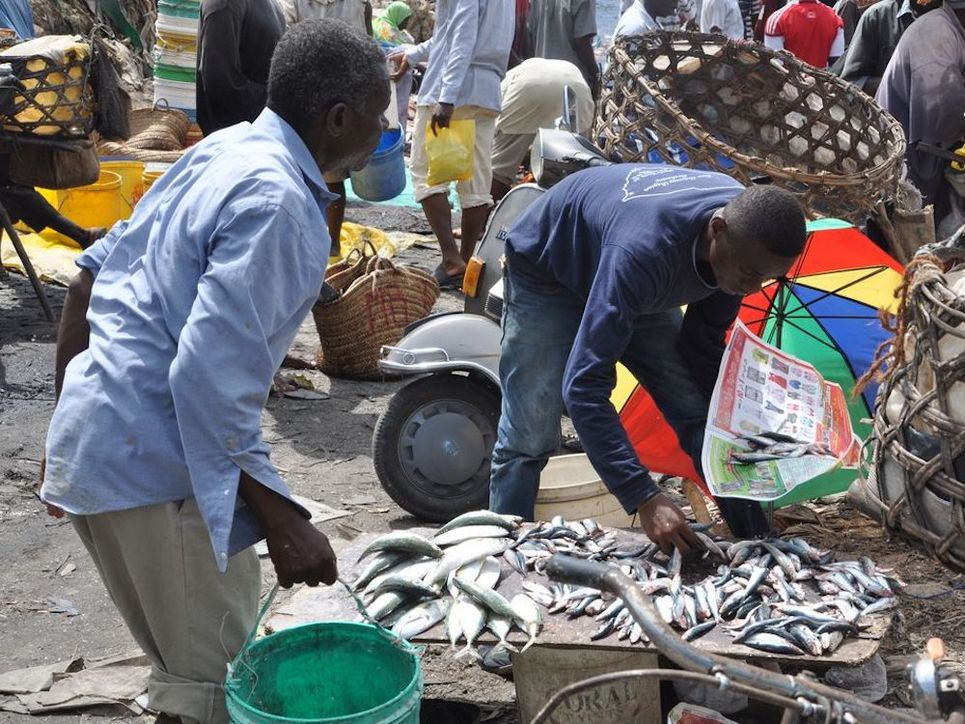 Fischverkauf auf dem Markt.