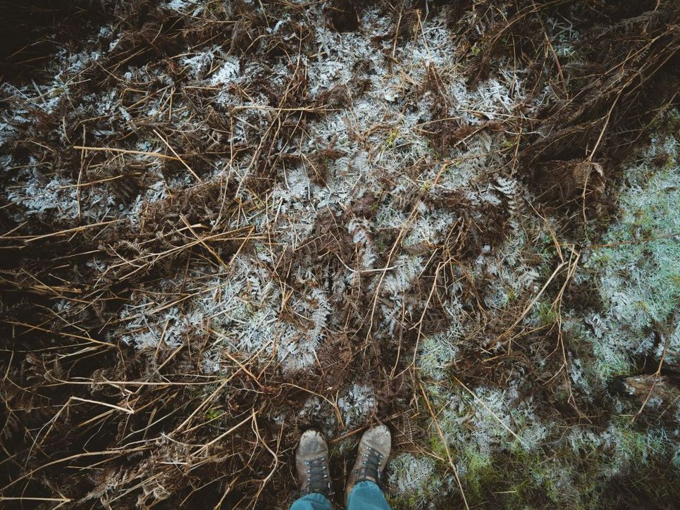 Zwei Füße in Wanderschuhen, Eiskristalle auf bräunlichem Grasgestrüpp.