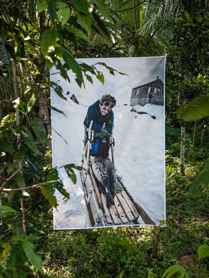 Foto eines Mannes mit einem dicken Fisch auf einem Schlitten. Das Foto ist in einem grünen Wald aufgehängt.