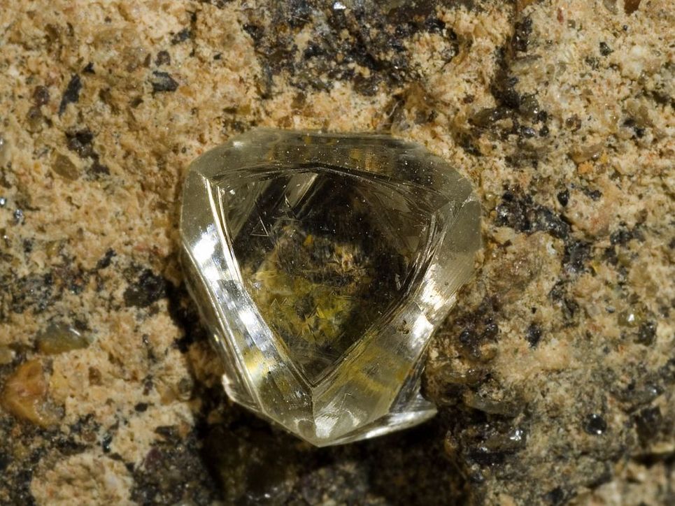 Ein 7 Milimeter großer Diamant in Konglomerat-Gestein.