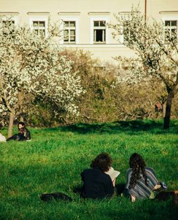 Ein junges Pärchen sitzt lesend auf einer Wiese.