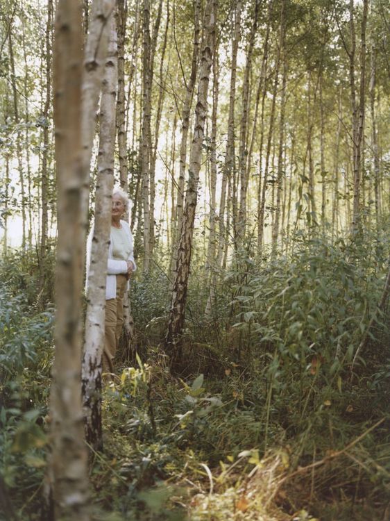 In einem lichten, von Schilf durchwachsenen Birkenwald steht eine ältere Frau. Sie wird von einem Baumstamm halb verdeckt. 