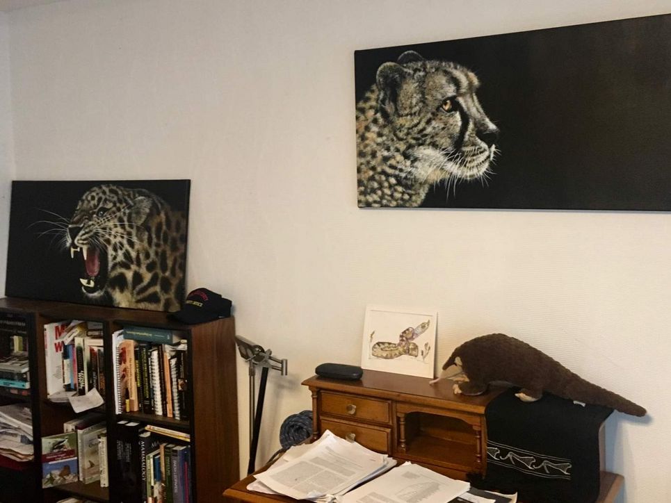 Zimmer mit Bücherregal und Anrichte mit Zetteln, dessen Wände Poster eines Jaguars und eines Geparden zieren.