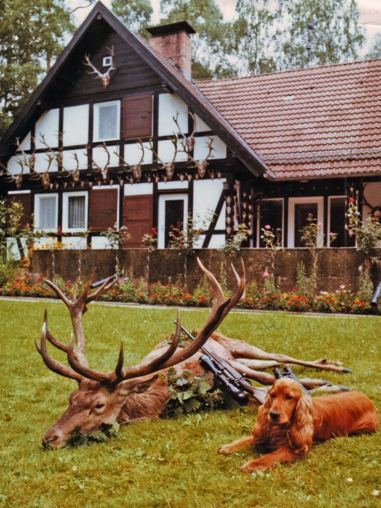 Ein toter Hirsch, an dessen Bauch ein Gewehr lehnt, neben ihm ein Hund im Garten vor einem Fachwerkhaus.