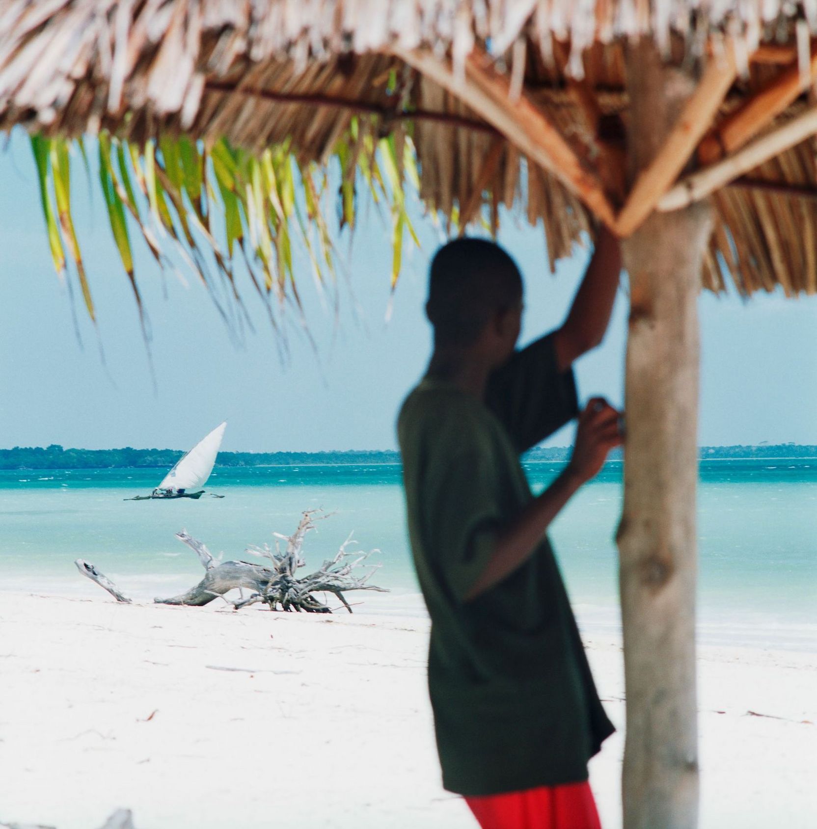 Ein Junge, der sich an einer Palme festhält am Strand, mit Blick auf ein Segelboot in Ufernähe.