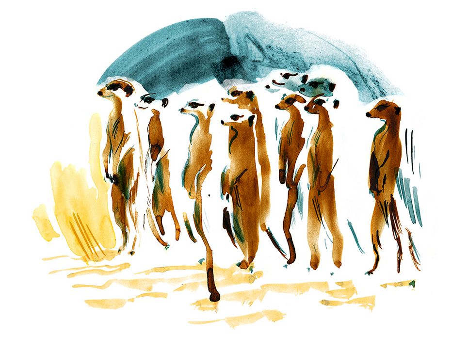 Illustration einer Gruppe von Erdmännchen, die aufrecht sitzend Wache halten