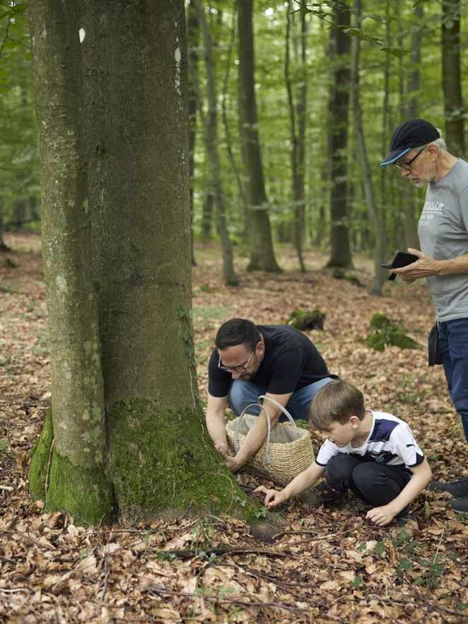 Der kleine Junge findet eine Stelle im Wald mit Pfifferlingen. Leibniz Magazin 
