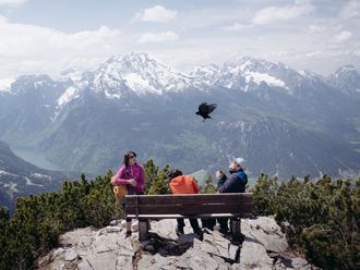 Eine schwarze Dohle fliegt über zwei auf einer Bank sitzende Wanderer auf dem Obersalzberg, im Hintergrund die Berchtesgadener Alpen.