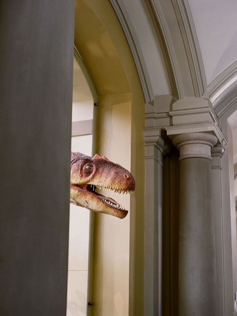 Der Kopf eines Dinosaurierskeletts schaut zwischen steinernen Säulen hervor.