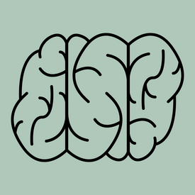 Illustration eines in drei Teile gegliederten Gehirns.