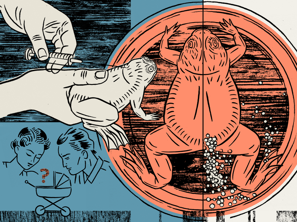 Bunte Illustration zeigt einen Frosch, dem eine Spritze verabreicht wird, einen Frosch in einer Petrischale, der kleine Eier ausscheidet und ein Paar, das in einen Kinderwagen schaut, über dem ein Fragezeichen schwebt.