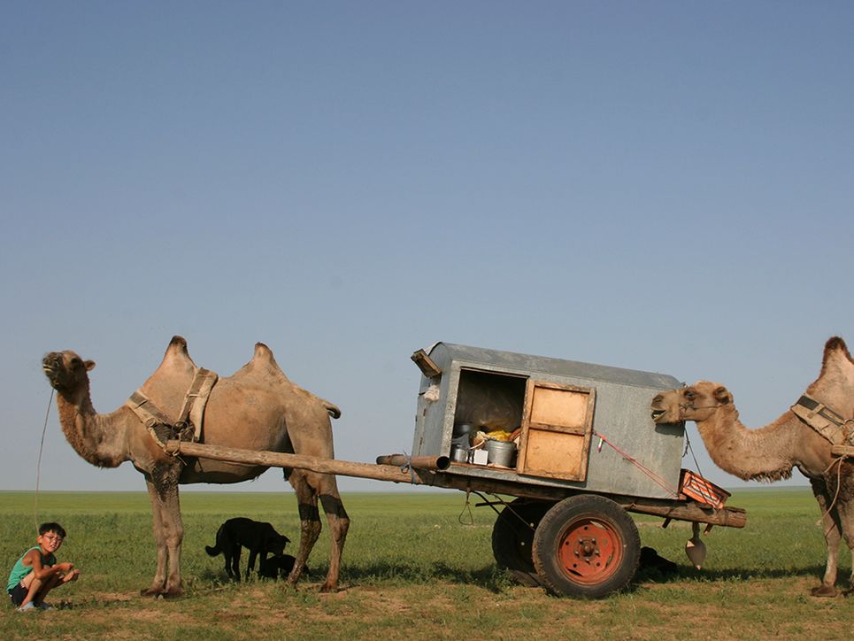 Kamel mit einem Wagen, auf dem sich eine kleine Blechhütte mit Alltagsutensilien darin befindet. Ein Junge kniet vor dem Kamel.