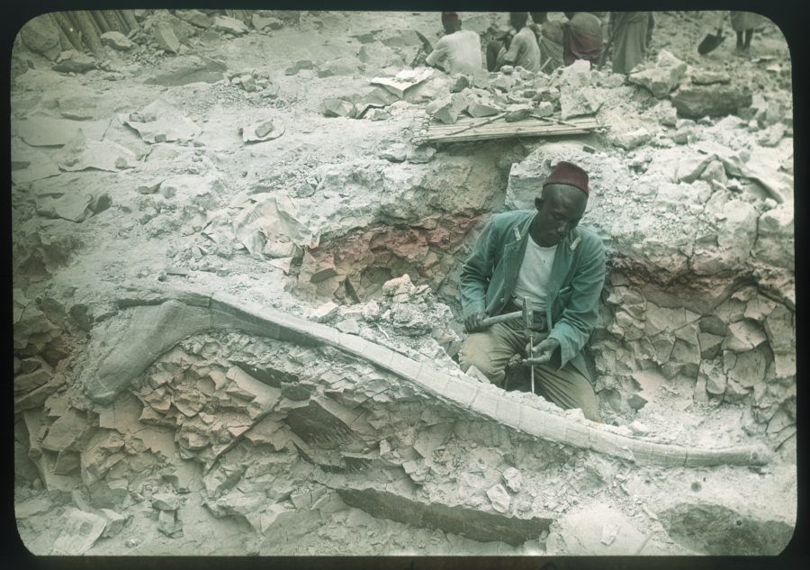 In steiniger Umgebung bearbeitet ein Mann einen langen Knochen mit einem Meißel.