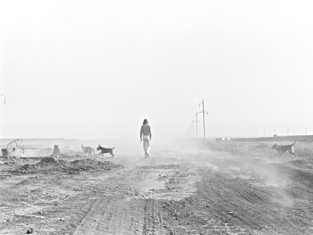 Staubige, Flache Landschaft, Strommasten am Rand des breiten Weges. Eine Person mit langen Haaren und drei Hunde. Schwarzweiß-Fotografie.