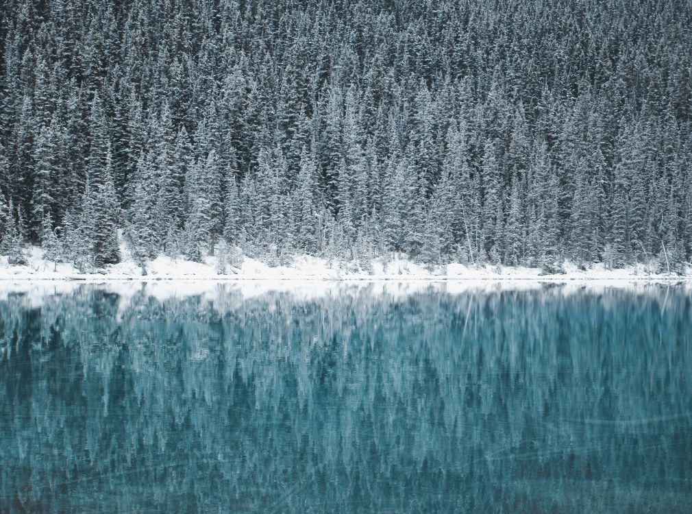 Verschneiter Wald spiegelt sich in zugefrorenem See.
