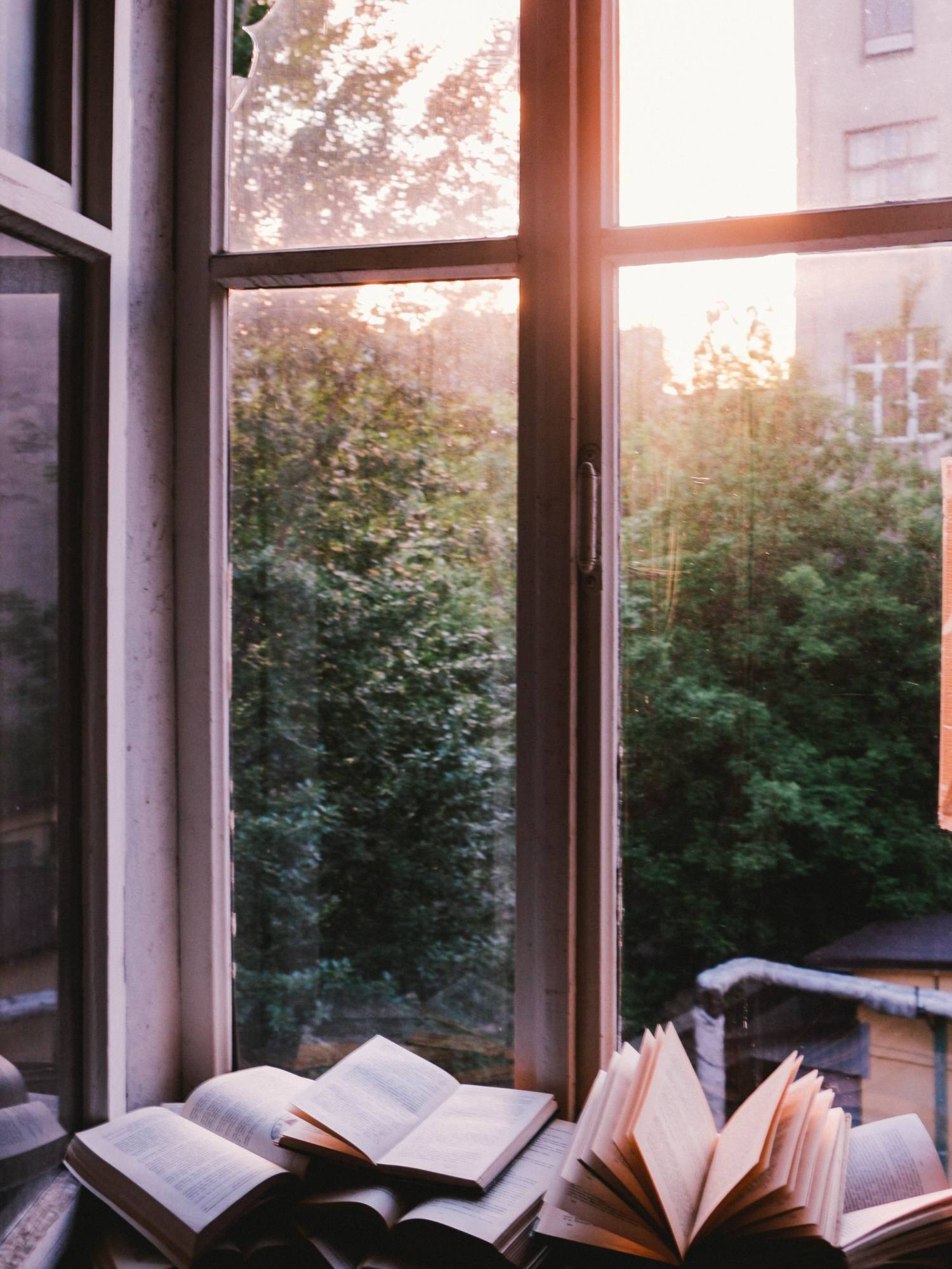 Aufgeschlagene Bücher an einem offenen Fenster.