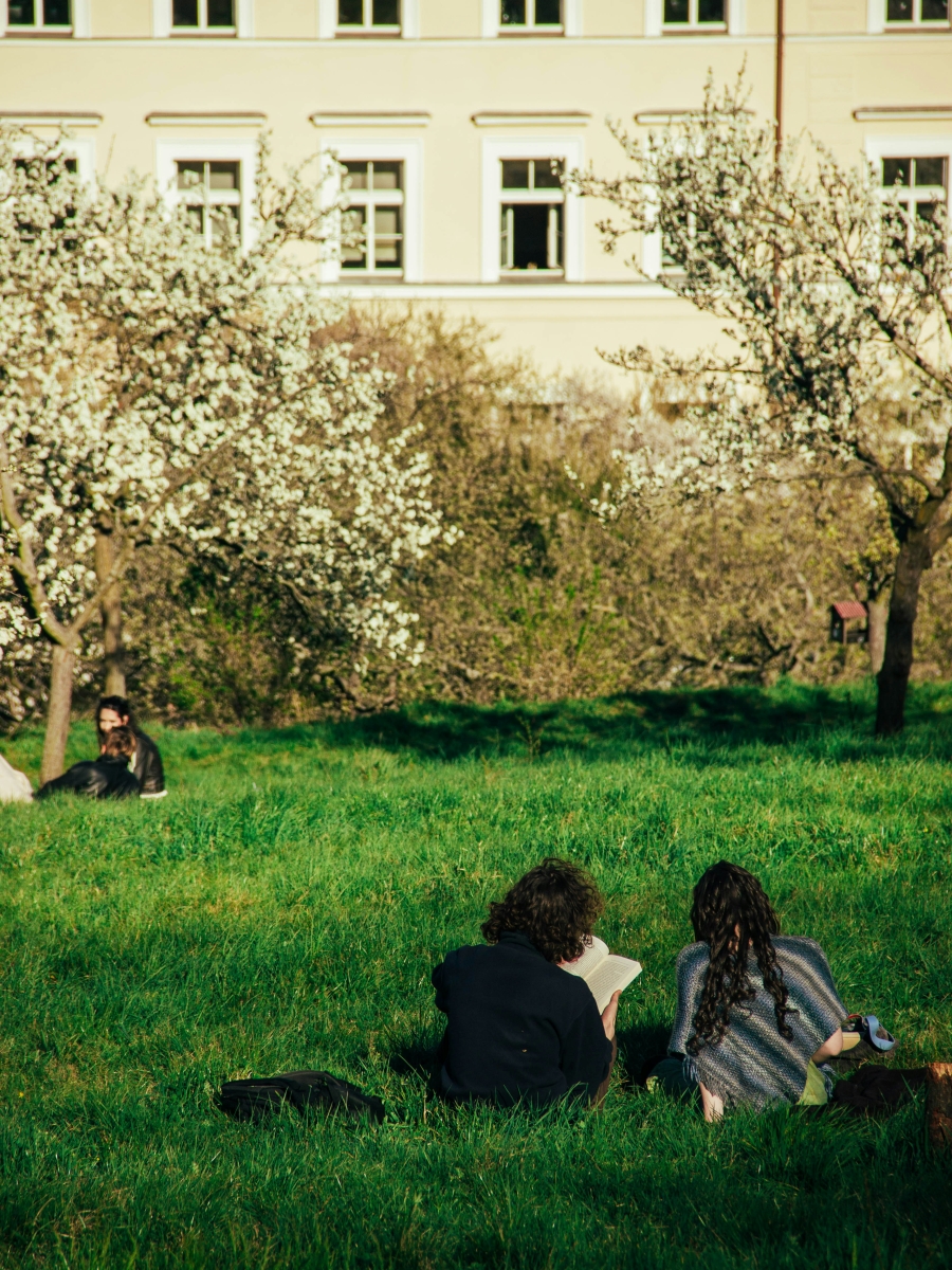 Ein junges Pärchen sitzt lesend auf einer Wiese.