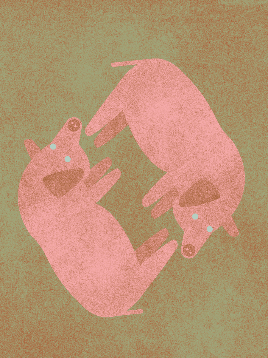Illustration von zwei Schweinen.